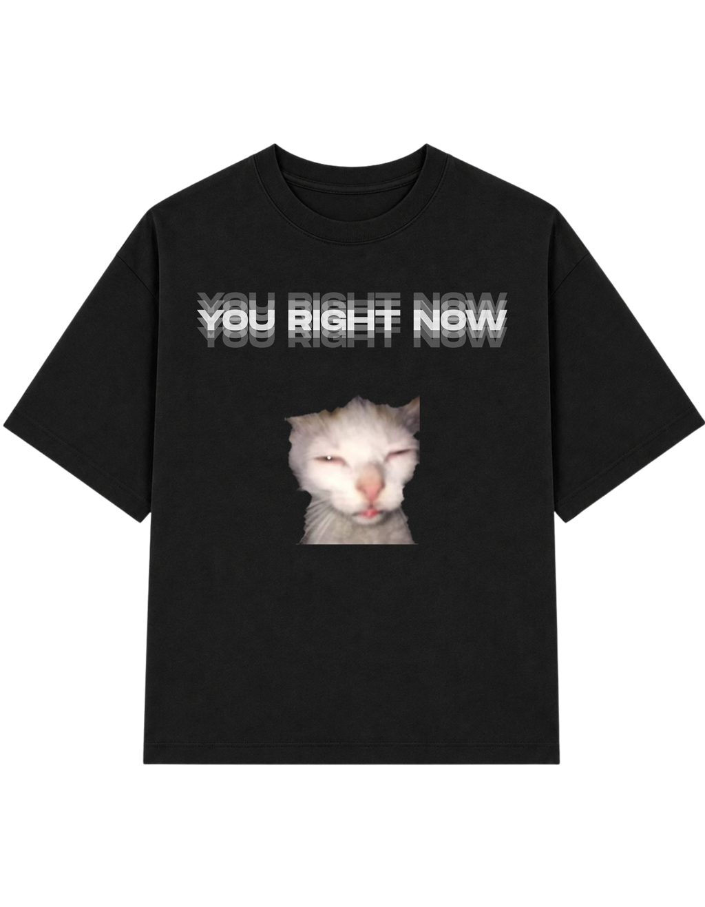 You Right Now Cat Illusion | T-shirt