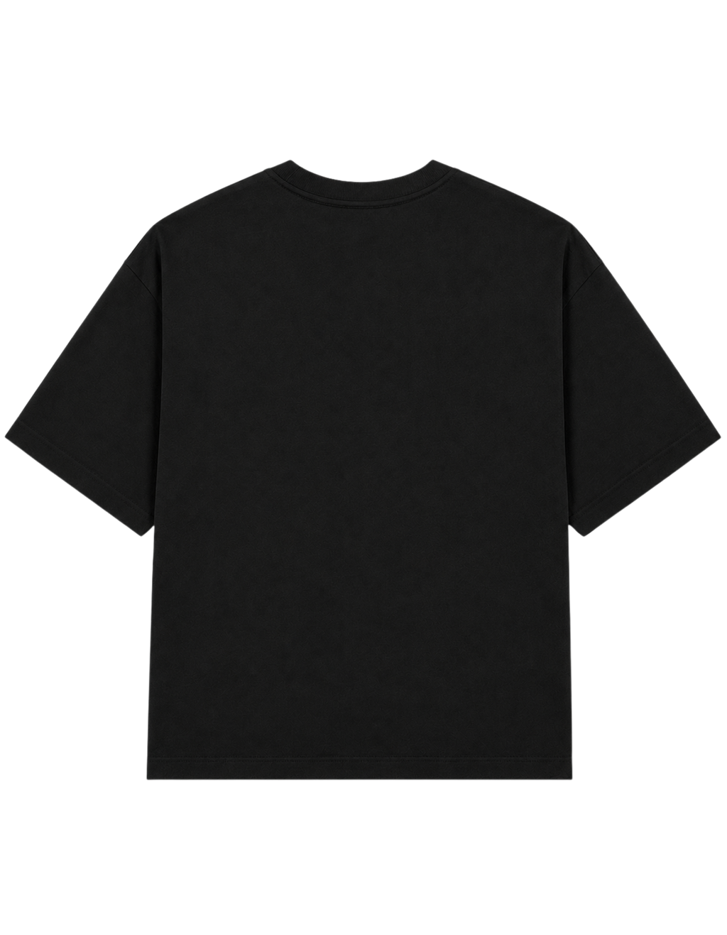 YOU CAN'T PUT LOYALTY ON A HOE | T-SHIRT