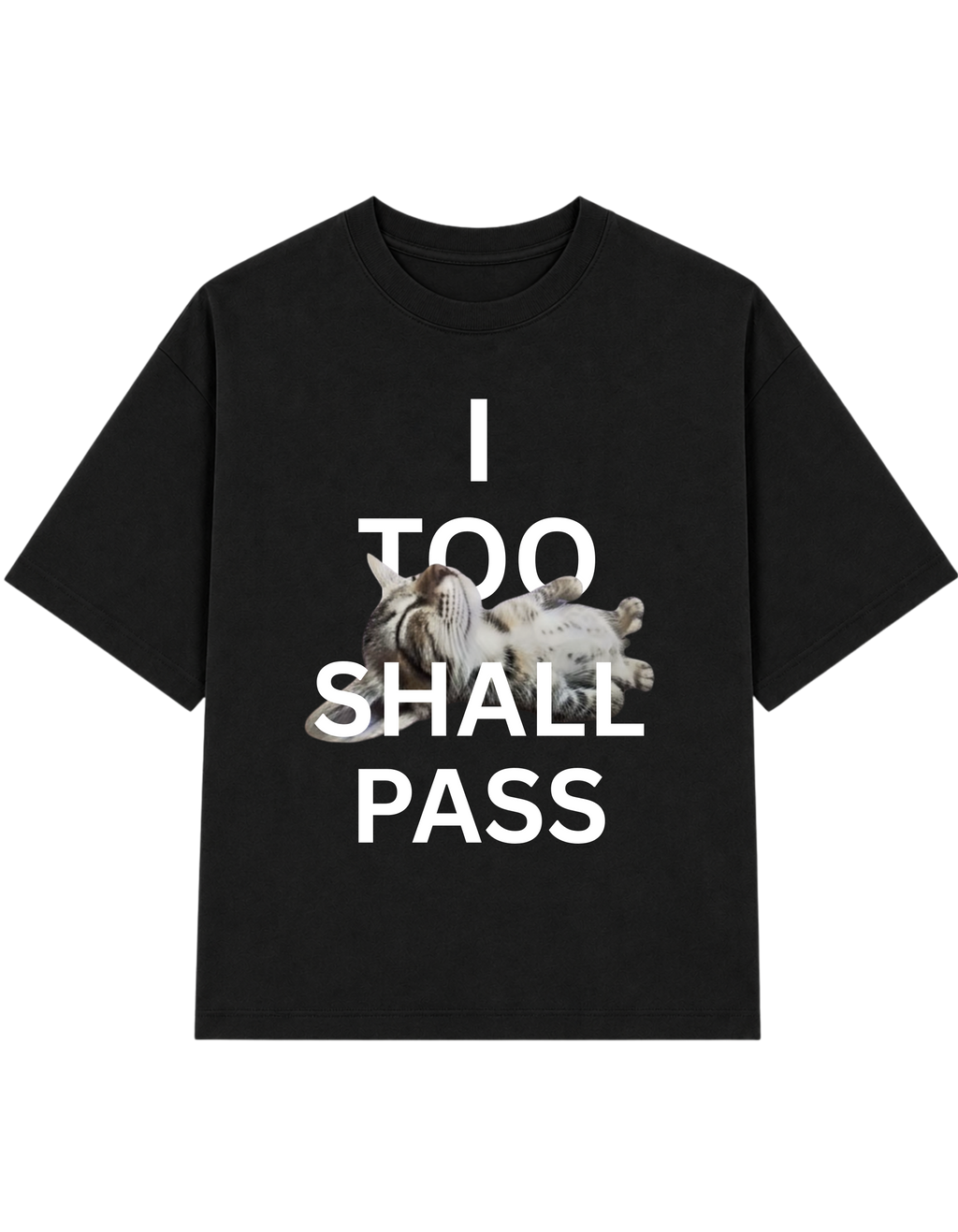 I TOO SHALL PASS T-shirt