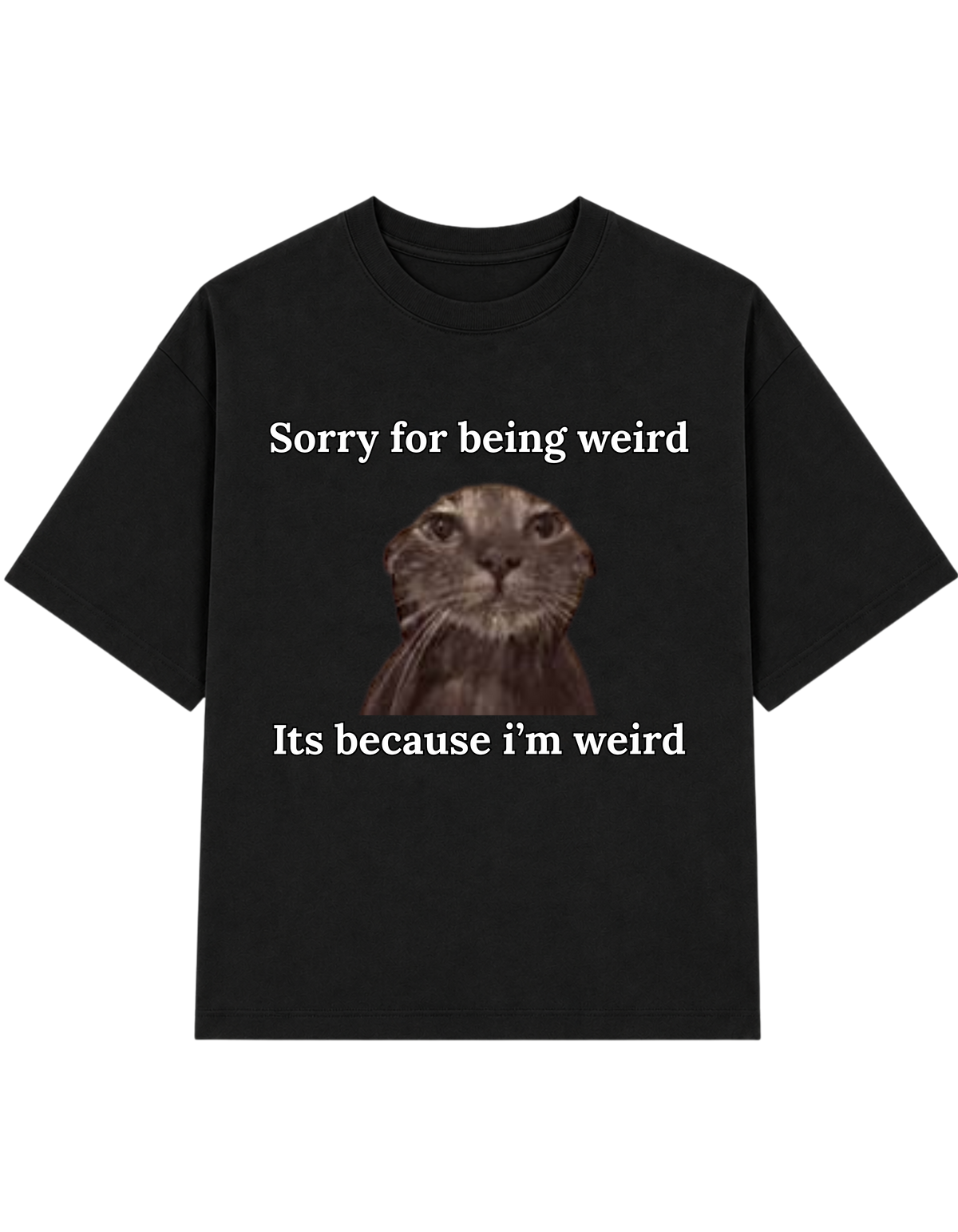 Sorry For Being Weird Its Because I Am Weird T-shirt