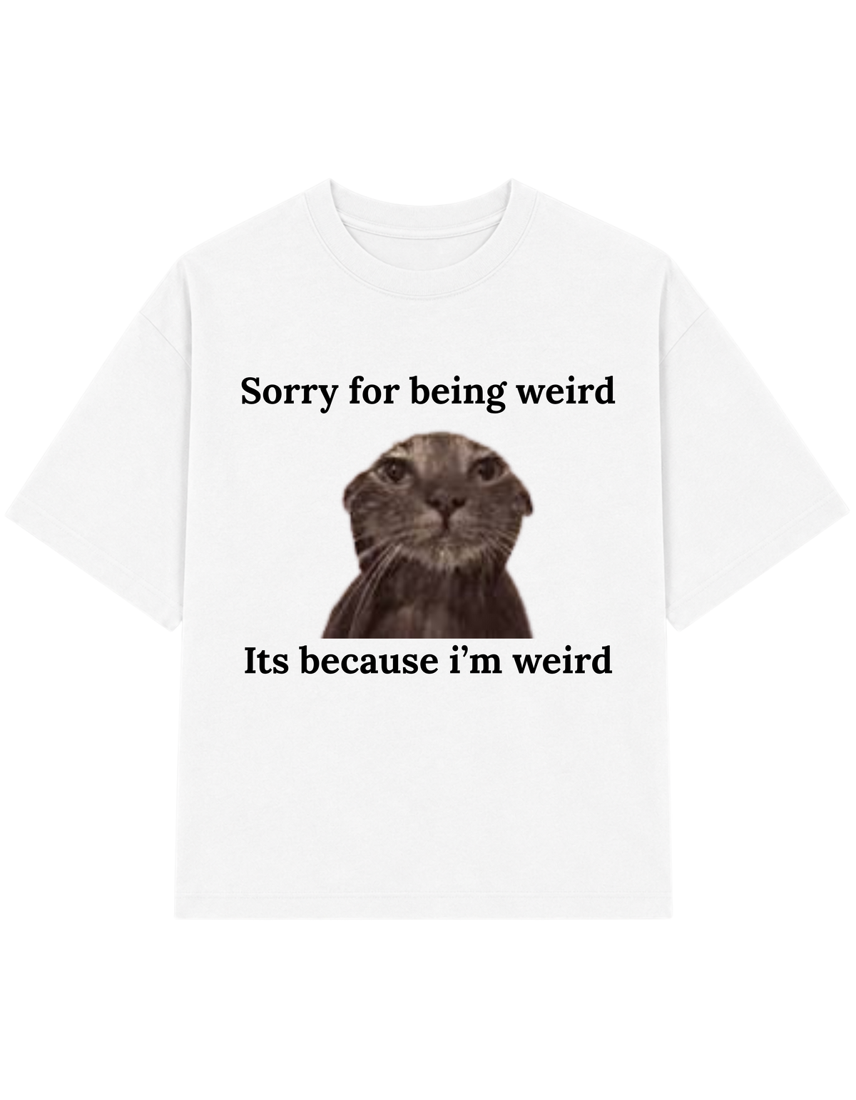 Sorry For Being Weird Its Because I Am Weird T-shirt