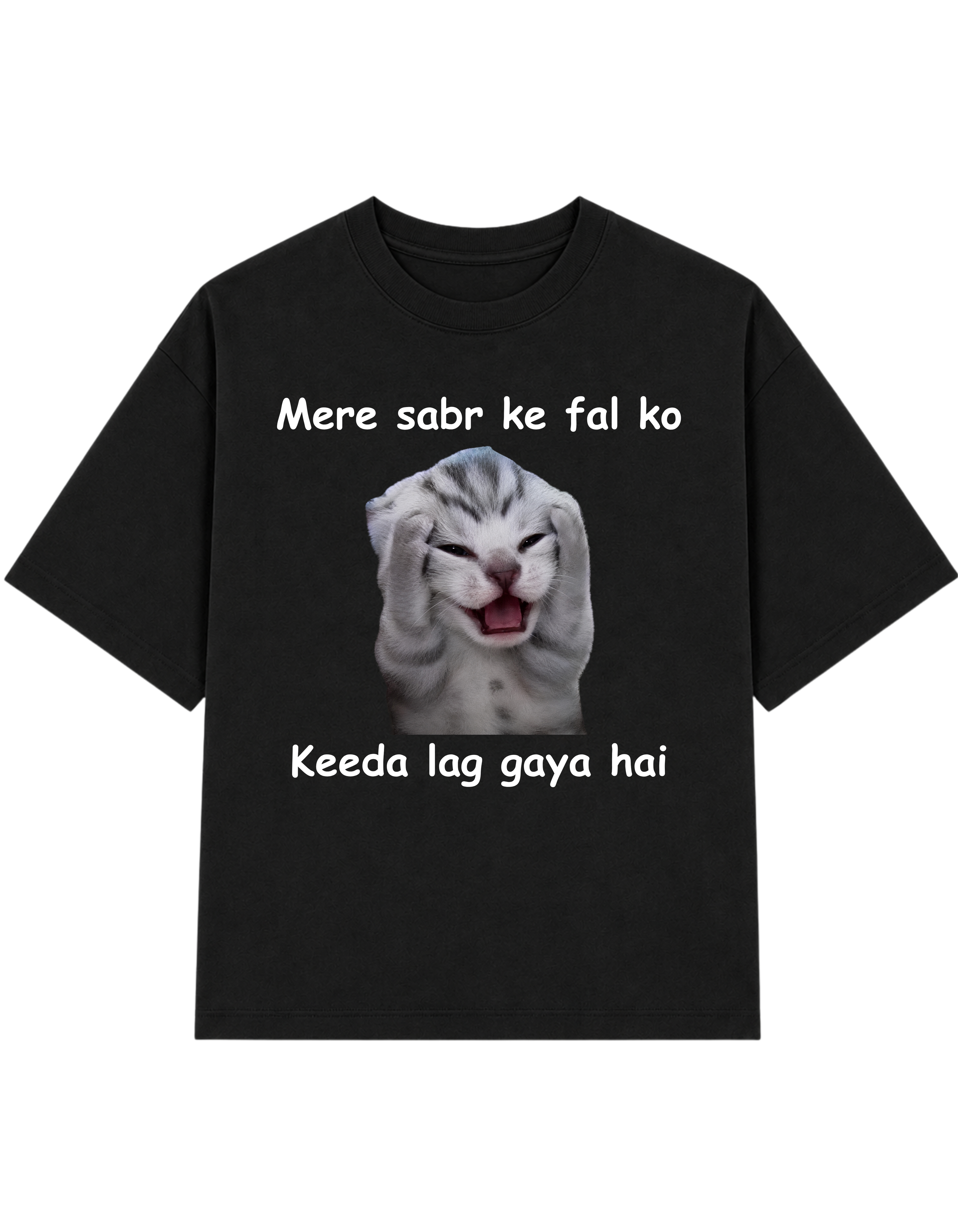 Mere Sabr Ke Fal Ko Keeda Lag Gaya Hai | T-shirt