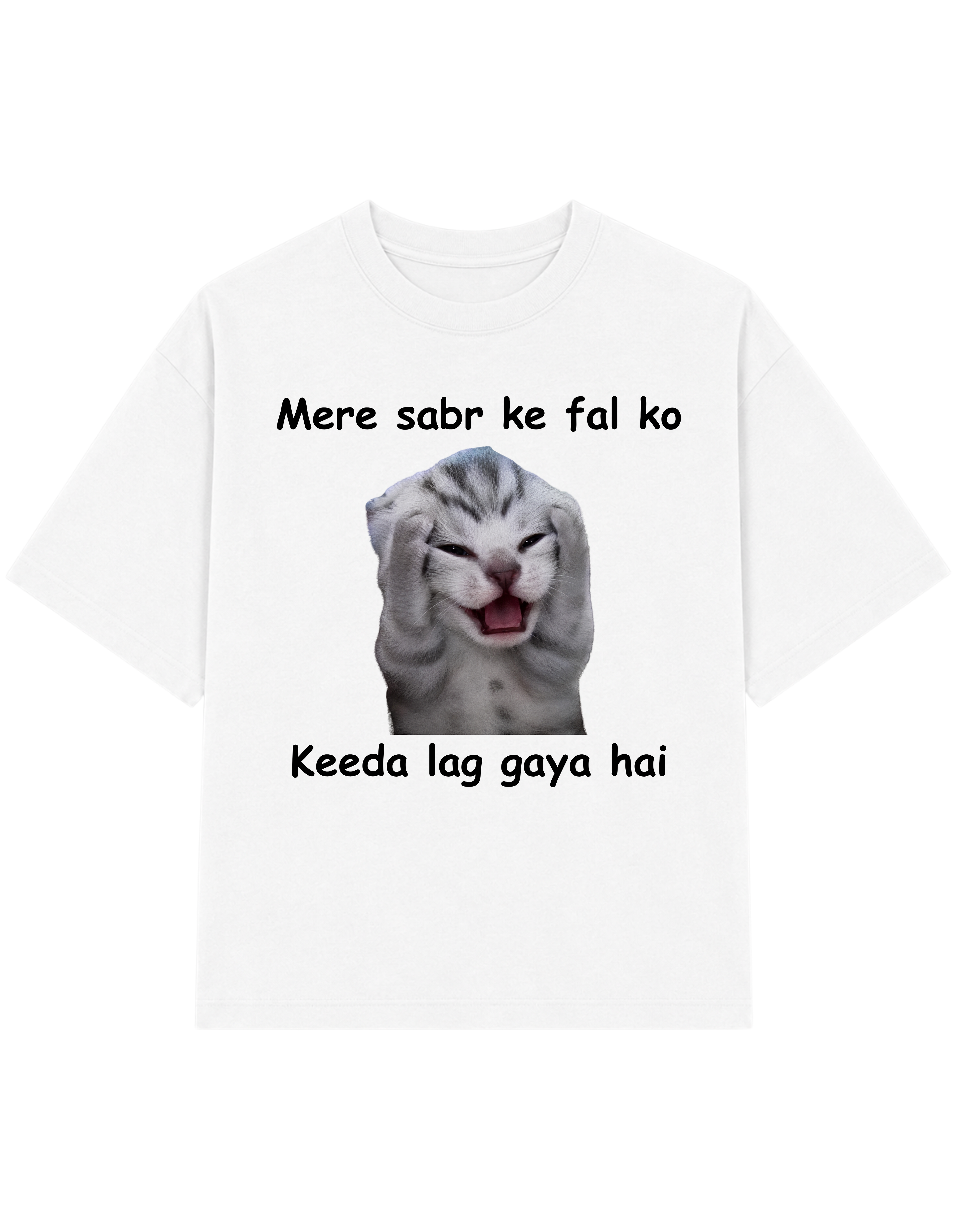 Mere Sabr Ke Fal Ko Keeda Lag Gaya Hai | T-shirt