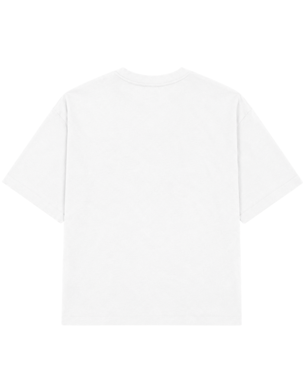 CERTFIED RACIST | T-shirt