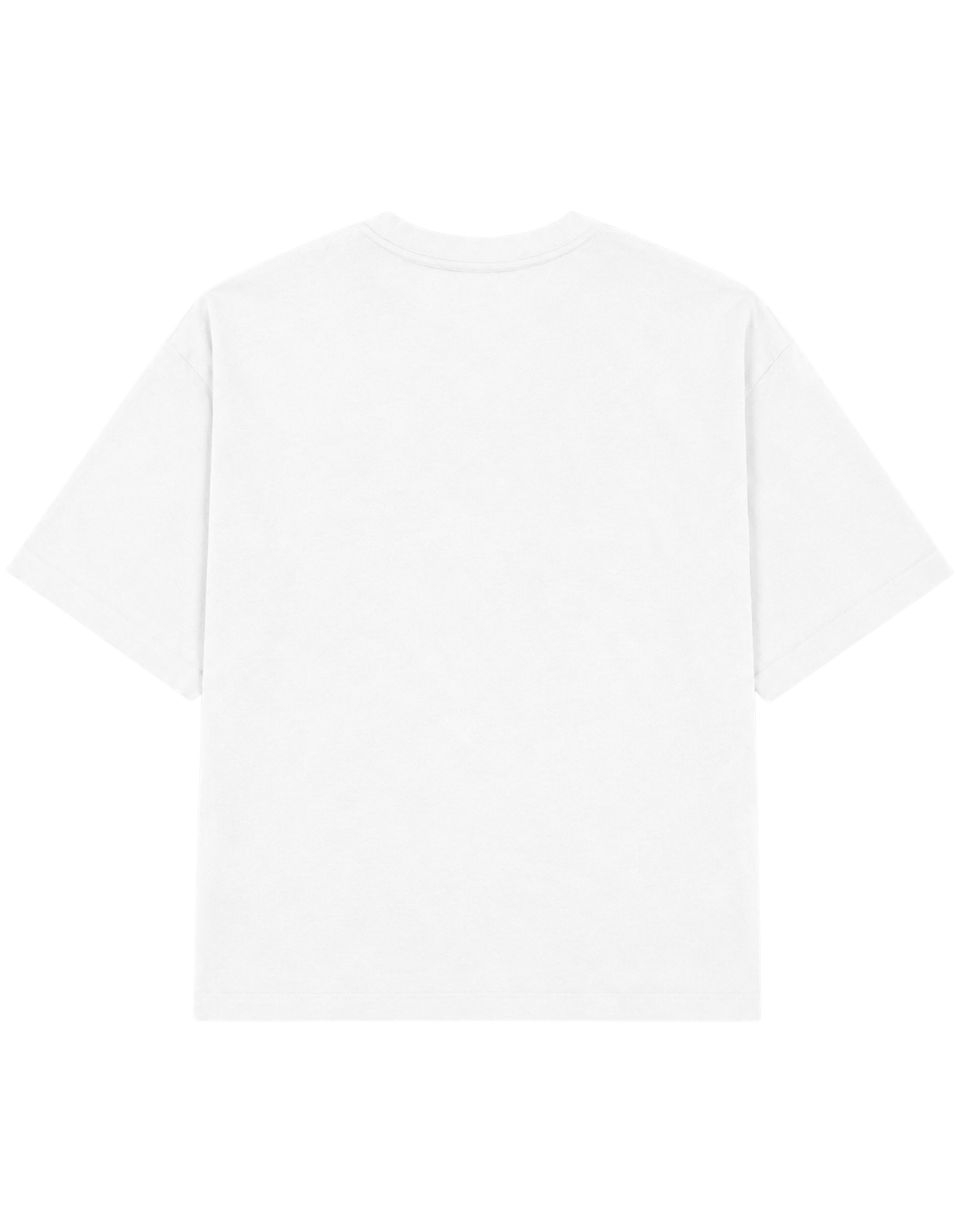 Can We Sexualise Normalising | T-shirt